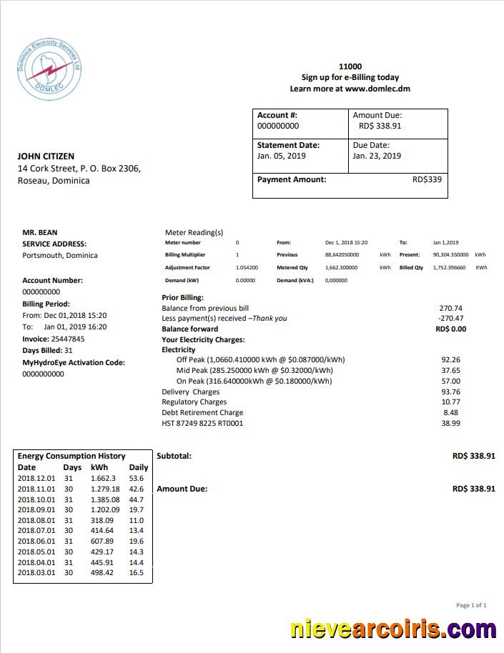 Dominica Electricity Services electricity utility bill